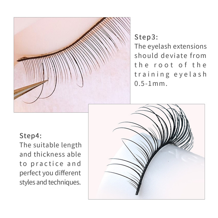 training eyelash-11.jpg
